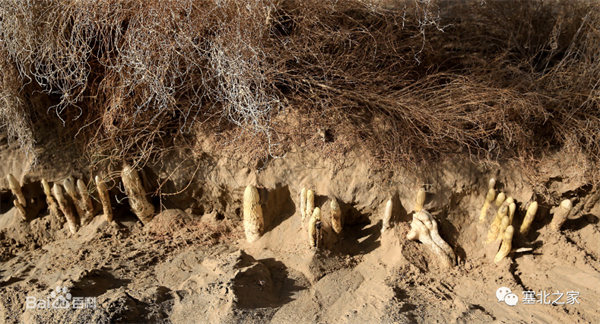 1681528470787456.png 5.png