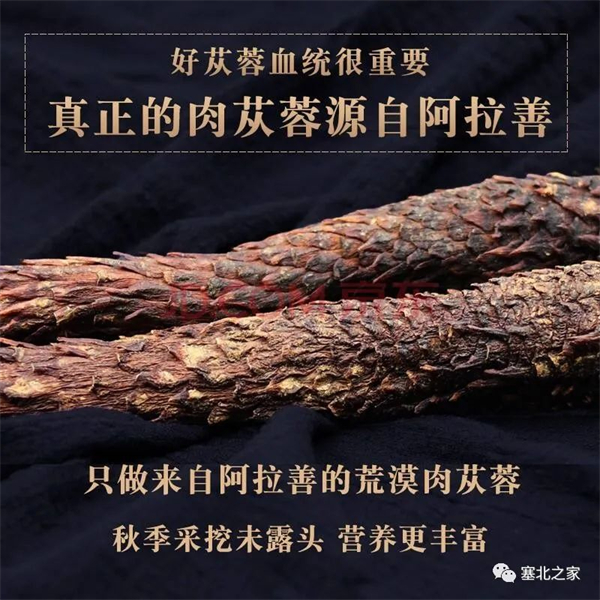 1681528477901602.jpg 7.jpg