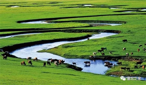 1681539025753263.jpg 2.jpg